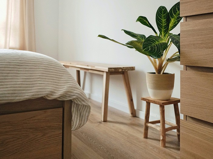 Natural wood floors with indoor potted plant 